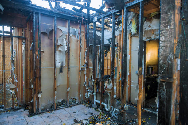Professional Fire Damage Removal technician working in Nottingham, MD
